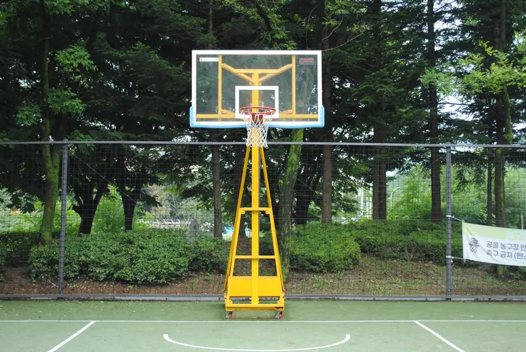 A solitary basketball hoop on a green outdoor court surrounded by trees, perfect for recreation.