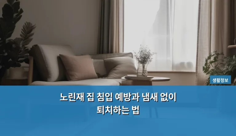 노린재 집 침입 예방과 냄새 없이 퇴치하는 법
