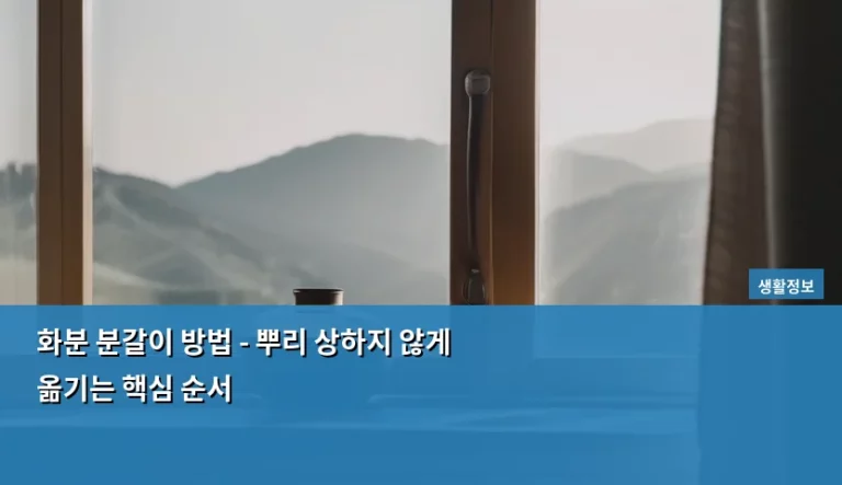 화분 분갈이 방법 – 뿌리 상하지 않게 옮기는 핵심 순서