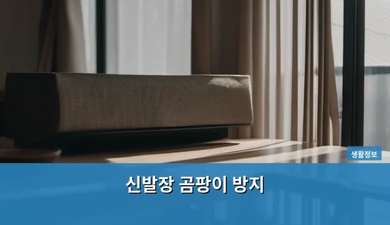 신발장 곰팡이 방지 관리법과 쾌적한 습도 유지 노하우