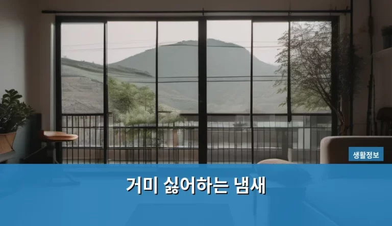 거미 싫어하는 냄새 종류와 퇴치 방법