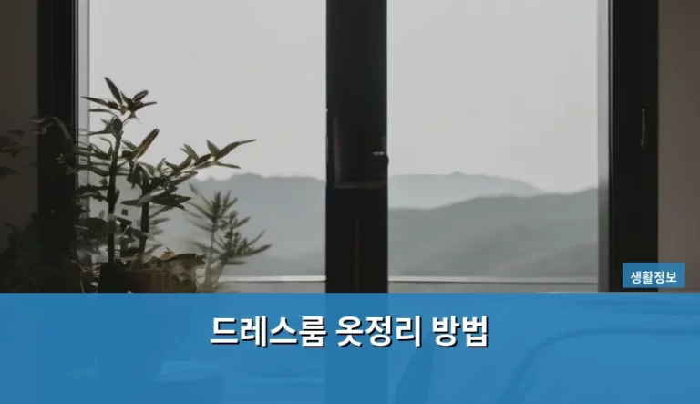 드레스룸 옷정리 방법 및 공간 활용 노하우