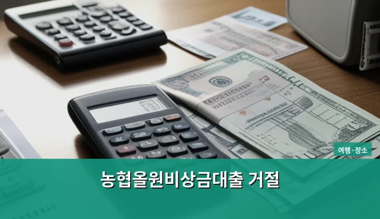 농협올원비상금대출 거절 사유와 현명한 대처 방법