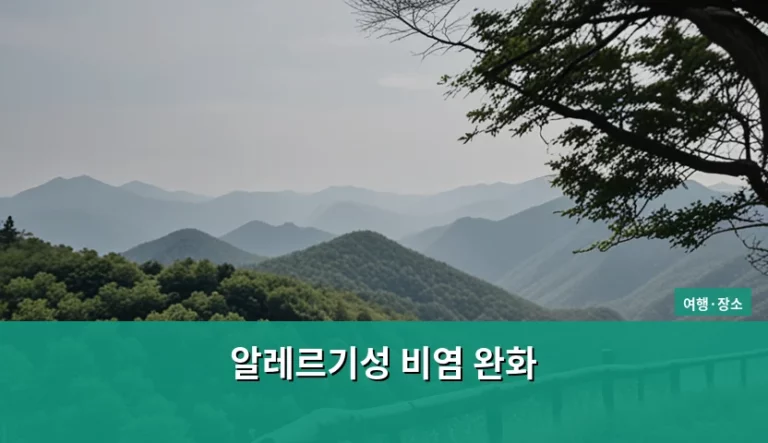 알레르기성 비염 완화 돕는 여행지 선택과 관리법