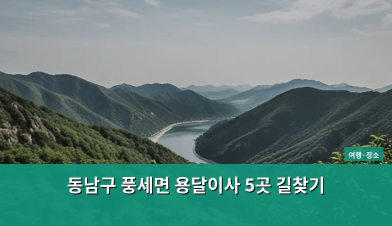 동남구 풍세면 용달이사 5곳 길찾기 및 업체 선정 가이드