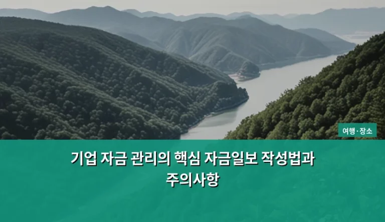 기업 자금 관리의 핵심 자금일보 작성법과 주의사항