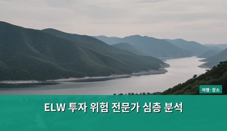 ELW 투자 위험 전문가 심층 분석 및 리스크 관리 가이드
