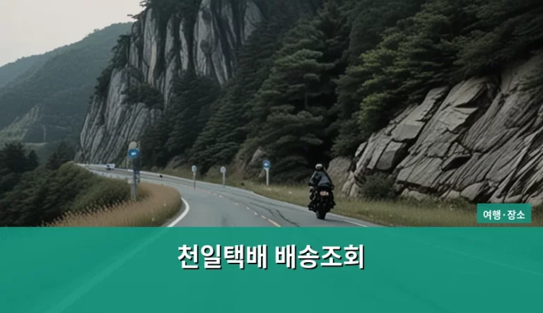 천일택배 배송조회 방법 및 송장번호 확인 팁