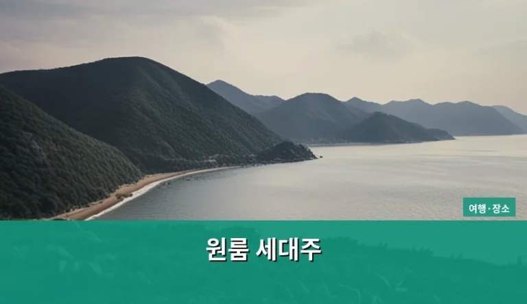 원룸 세대주 등록 방법과 보증금 보호 가이드