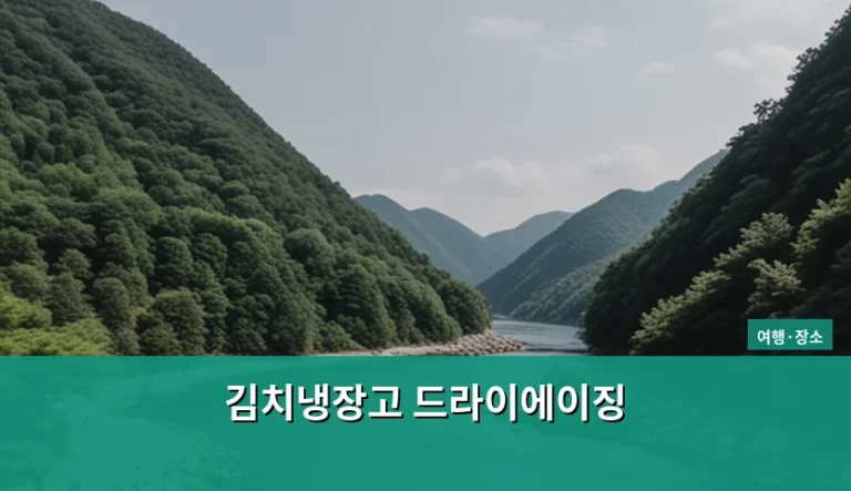 김치냉장고 드라이에이징 방법과 성공을 위한 관리 팁