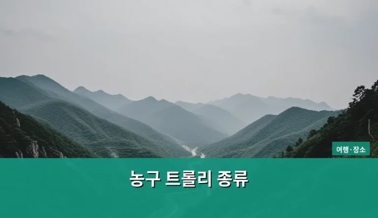 농구 트롤리 종류 선택 기준과 관리 방법 가이드