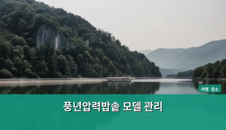 풍년압력밥솥 모델 관리 방법과 안전 사용 가이드