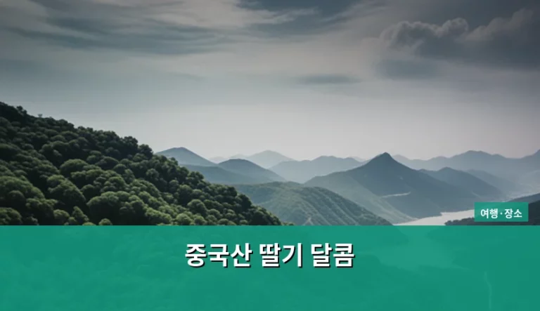 가성비 좋은 중국산 딸기 달콤한 맛과 안전성 확인법