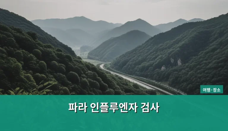 파라 인플루엔자 검사 방법과 증상 및 주의사항 정리