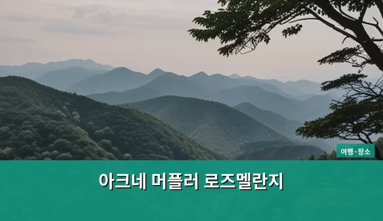 겨울 여행 패션의 정석 아크네 머플러 로즈멜란지 활용법