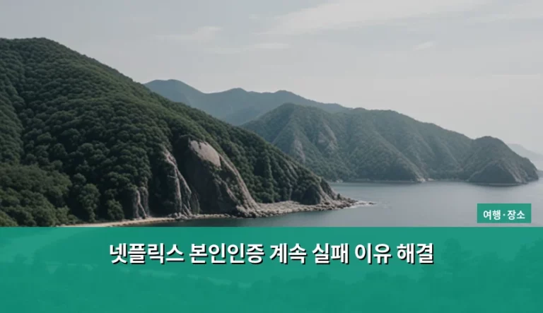 넷플릭스 본인인증 계속 실패 이유 해결 방법 및 원인 분석