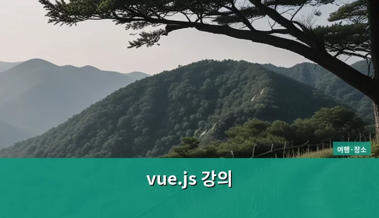 Vue.js 강의 선택 기준과 효율적인 학습 방법