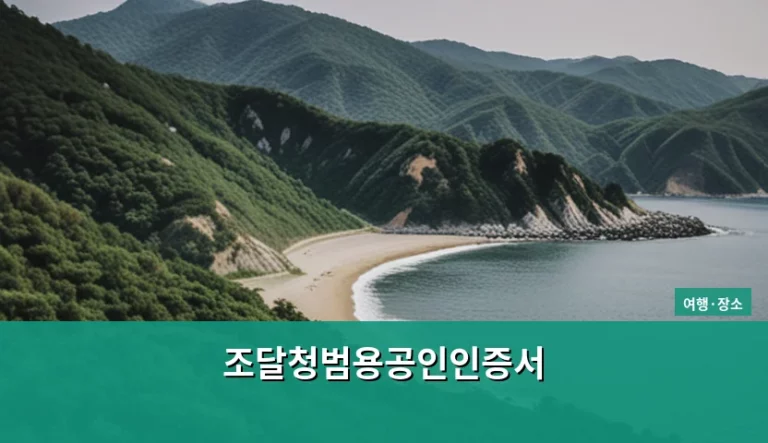 조달청범용공인인증서 발급 방법과 갱신 가이드