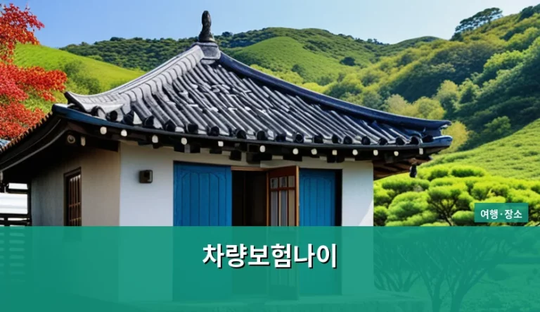 차량보험나이 기준과 보험료 절약 팁 가이드