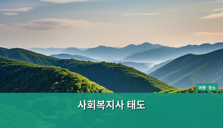 전문적인 사회복지사 태도와 현장 실무 가이드