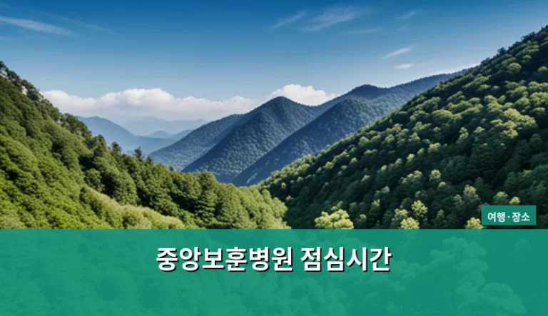 중앙보훈병원 점심시간 및 외래 진료 방문 가이드