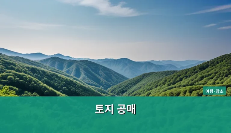 토지 공매 절차와 낙찰 전 주의사항 가이드