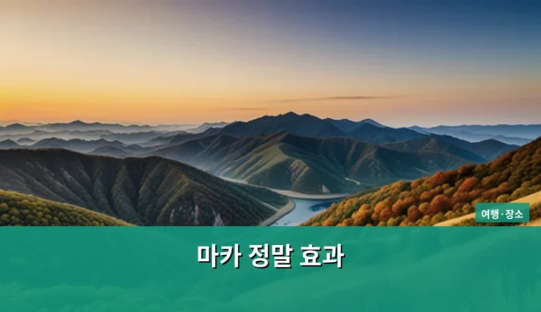 페루의 보물 마카 효능과 올바른 섭취 방법 가이드