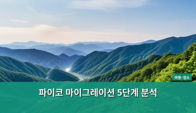 파이코 마이그레이션 5단계 분석 및 실무 가이드