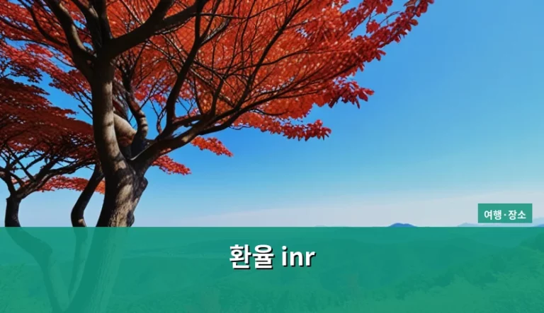 인도 여행 전 꼭 알아야 할 환율 INR 정보와 환전 팁