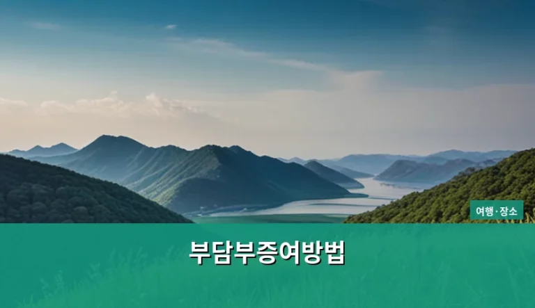 부담부증여방법 세금 절약 가이드와 주의사항