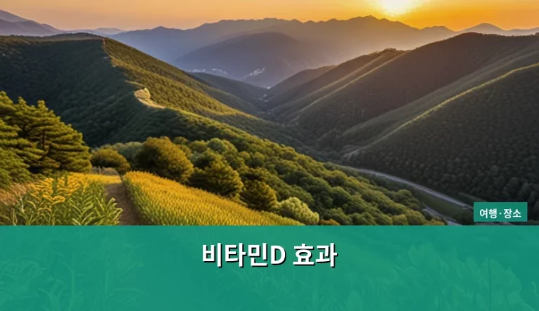 햇빛 여행으로 채우는 비타민D 효과와 건강 관리법
