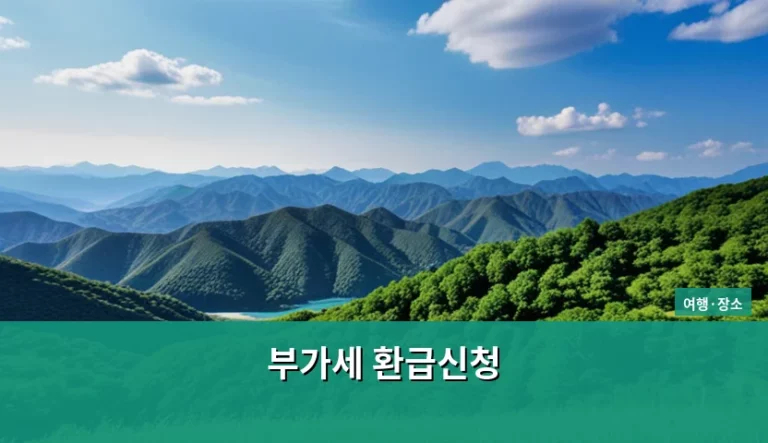 부가세 환급신청 방법과 조건 및 주의사항 가이드