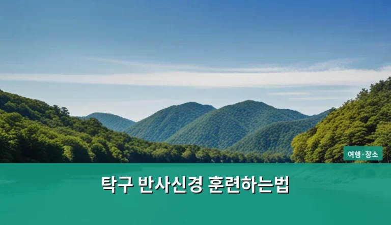 탁구 반사신경 훈련하는법 및 실전 반응속도 향상 가이드
