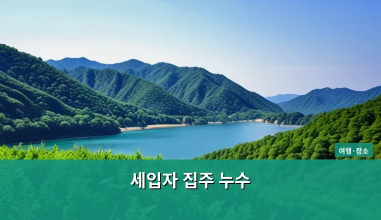 세입자 집주 누수 책임 범위와 해결 방법 가이드